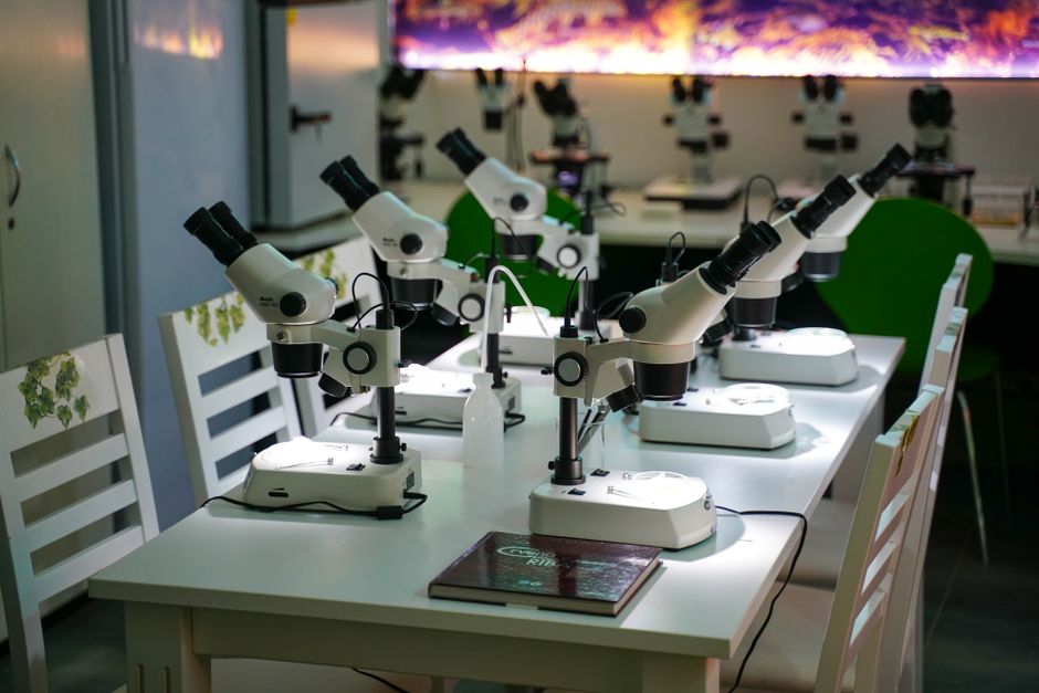 A modern laboratory full of microscopes, ready for scientific research and study.